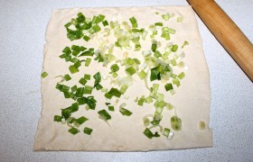 Раскатываем тесто в пласт нужной формы и размера толщиной не менее 5 мм. Зеленый лук промываем и обсушиваем. Затем - шинкуем. Выкладываем сначала половину нашинкованного зеленого лука.