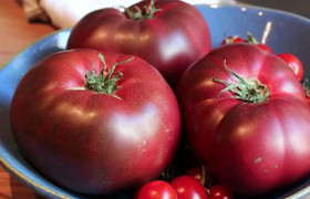 Мы взяли 3 средних помидора – для томатного конкассе примерно на 2 порции. Пока закипает вода в кастрюле, в миску с холодной водой кладем кусочки льда, посолим –  чтобы помидоры после кипятка моментально охладились.